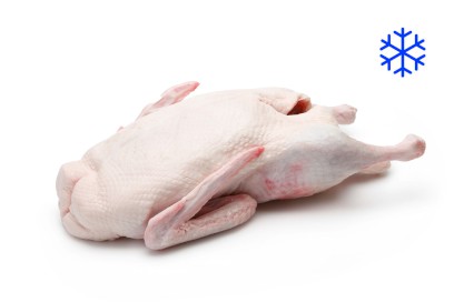 1479_5132000_KACHNA_MR_WEBXL